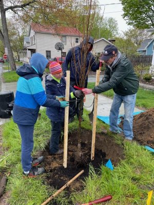 Sustainable Saratoga Call For Volunteers for TREE TOGA Event April 27