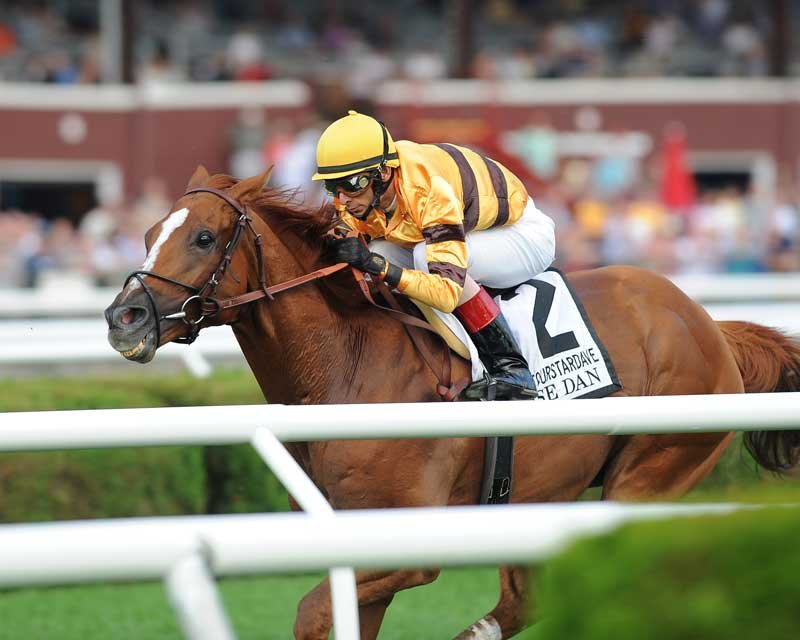 National Museum of Racing’s 2020 Hall of Fame finalist racehorse,Wise Dan. Photo provided by NYRA.