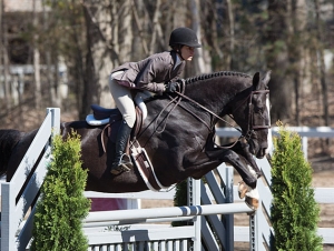 Saratoga Springs Horse Show Kicks Off