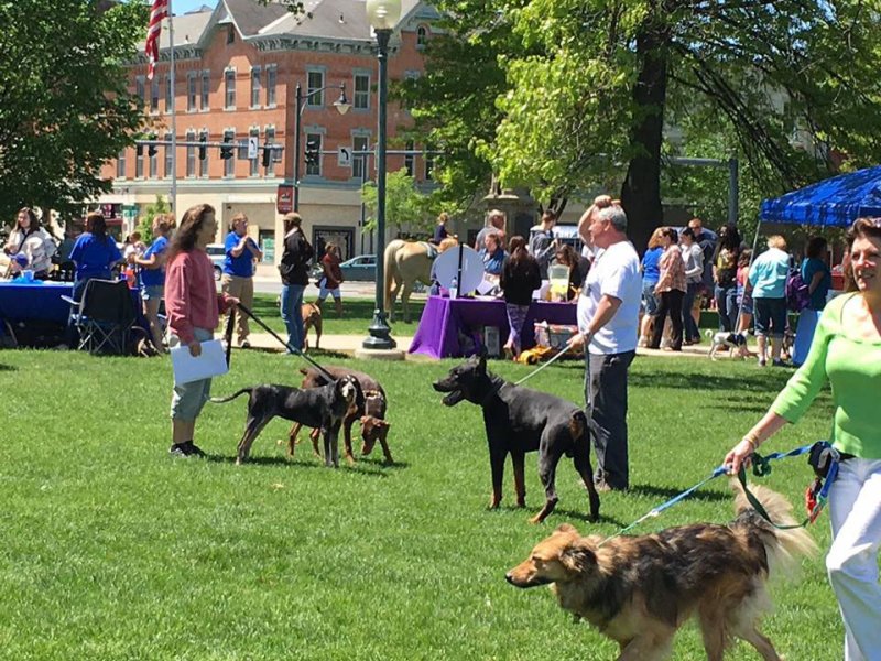 Pet Fest 2023 will take place on Saturday, May 20. Photo provided. 