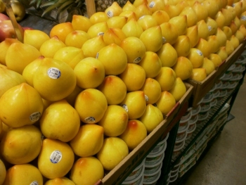 Ever Heard of Lemon Plums?