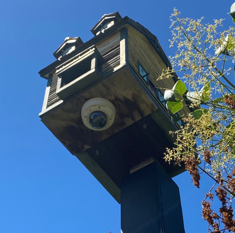 Camera in birdhouse  at Congress Park.  Photo by Thomas Dimopoulos.