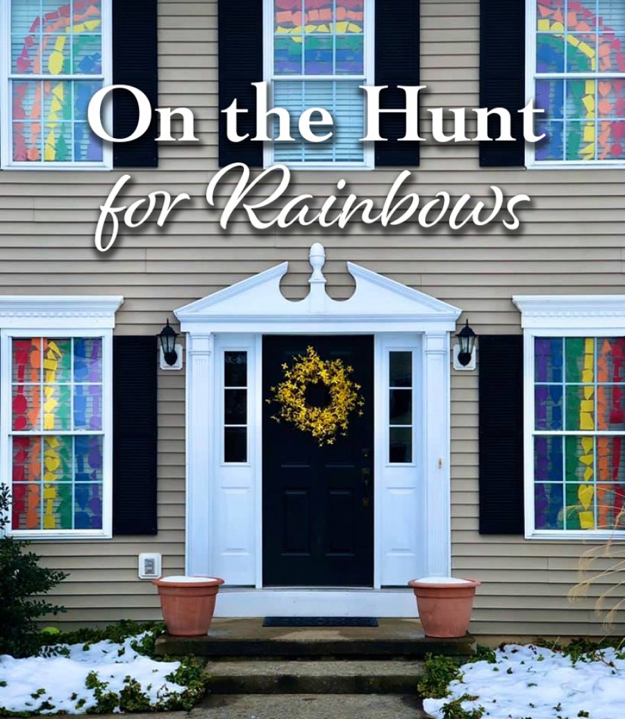 Rainbows starting in Scotia can now be seen in communities across New York.  Challenge your family and friends to find them.