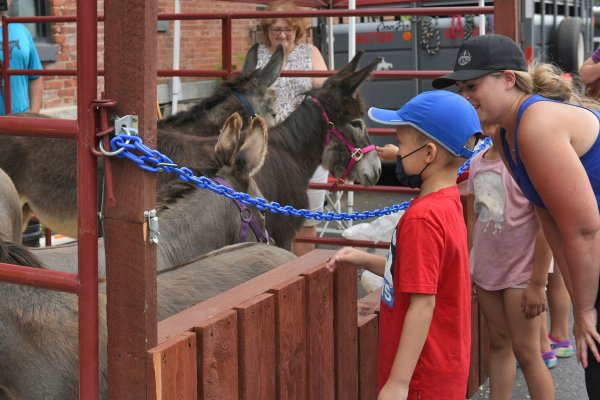Aiden Rodriguez visits with miniature donkeys from Maple Rock Farms at Saturday’s fundraiser. Photo by Super Source Media Studios.