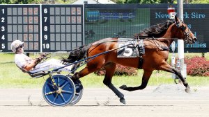 New York State Sire Stakes Continues