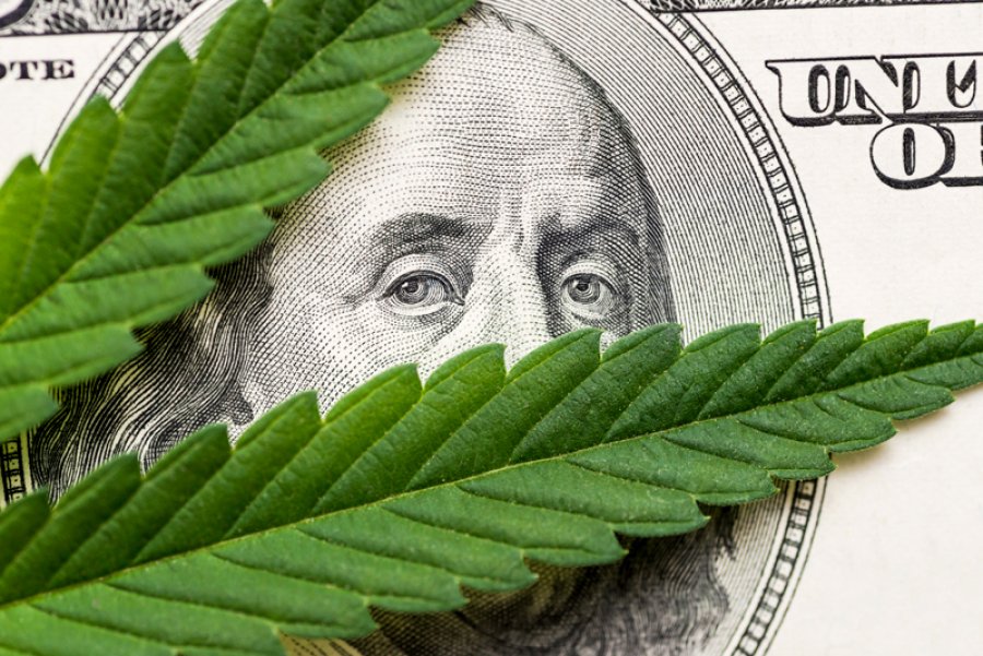 City Discusses New Cannabis Legislation and Potential Revenue