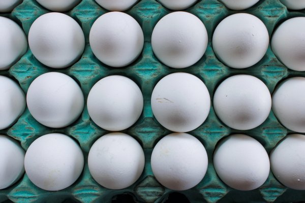The Least Eggspensive Local Eggs