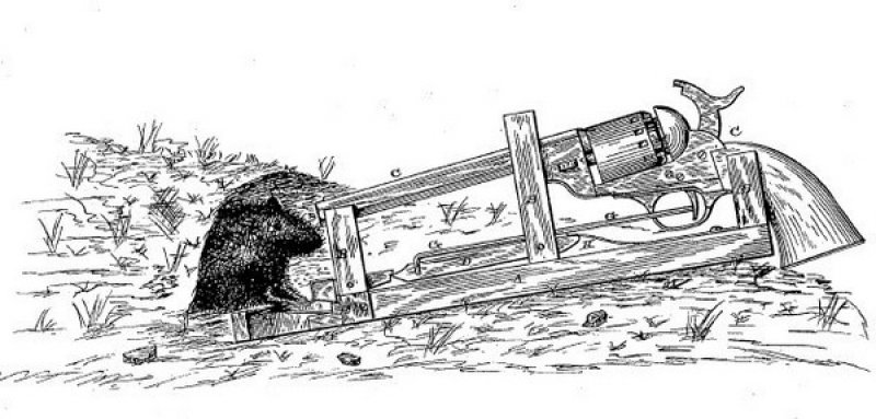 Illustration from a patent application filed in 1882 by James Williams for a mole killing device.