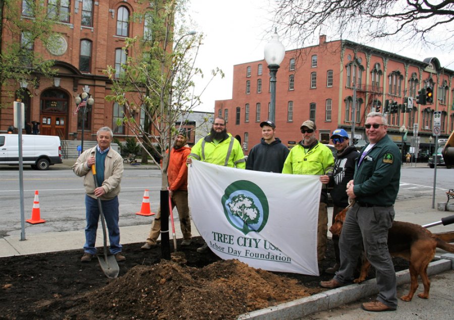 Commissioner Anthony “Skip” Scirocco, City Arborist Steve Lashomb, members of the DPW Urban Forestry Division, and Jeff Speich, DEC Regional Forester for Region 5, plant a Yellow Buckeye tree on Broadway. Photo provided.