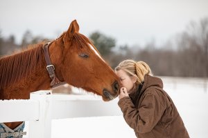 Therapeutic Horses of Saratoga Hosting Fundraiser for Injured Race Horse
